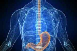 Cancer Services - Cancer Types - Upper GI Cancer - Introduction